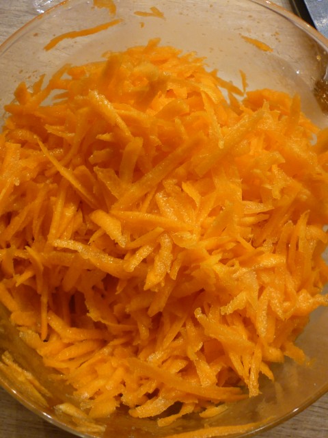 Carottes râpées de marianne (5)
