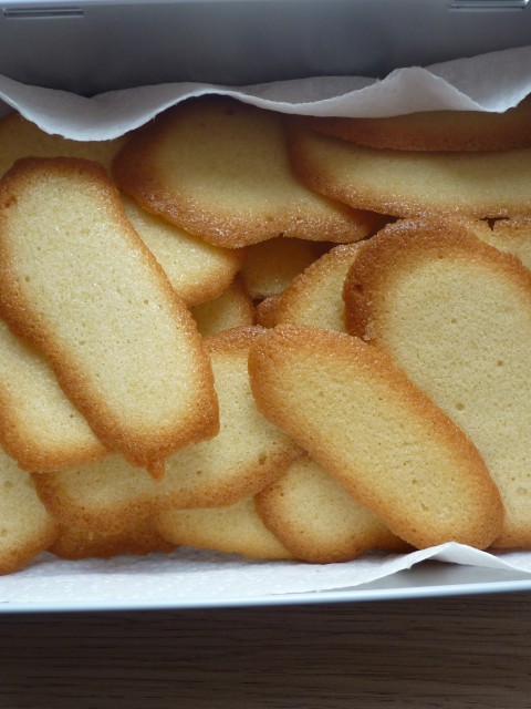 Langues de chat (8)