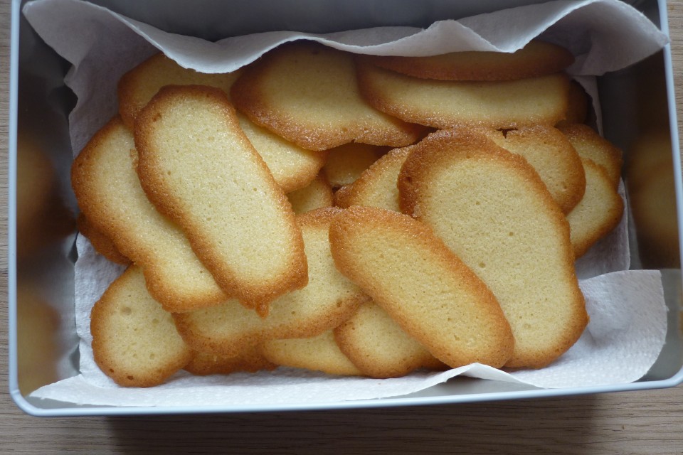 Langues de chat (8)